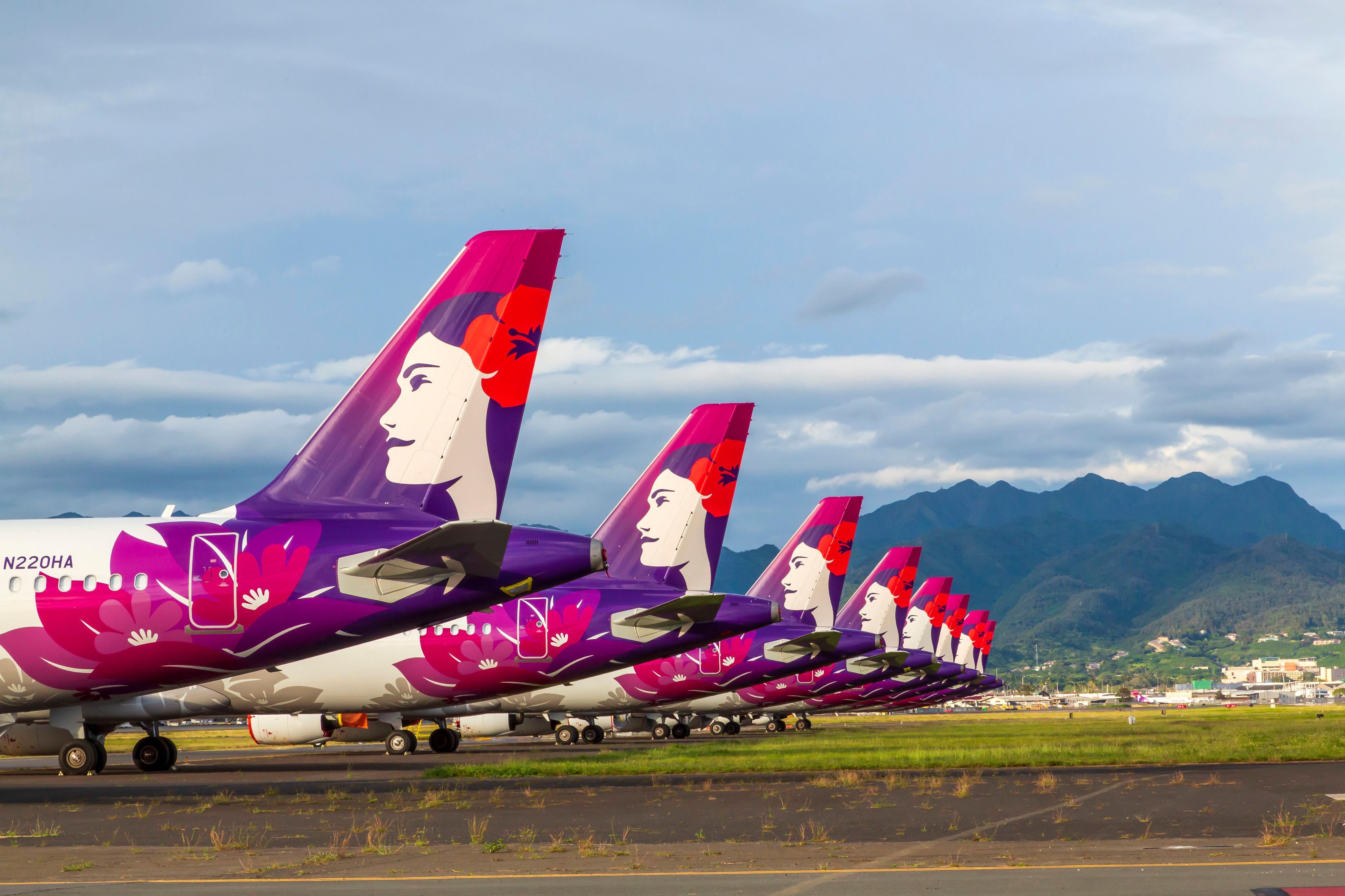 Hawaiian airlines grounded fleet