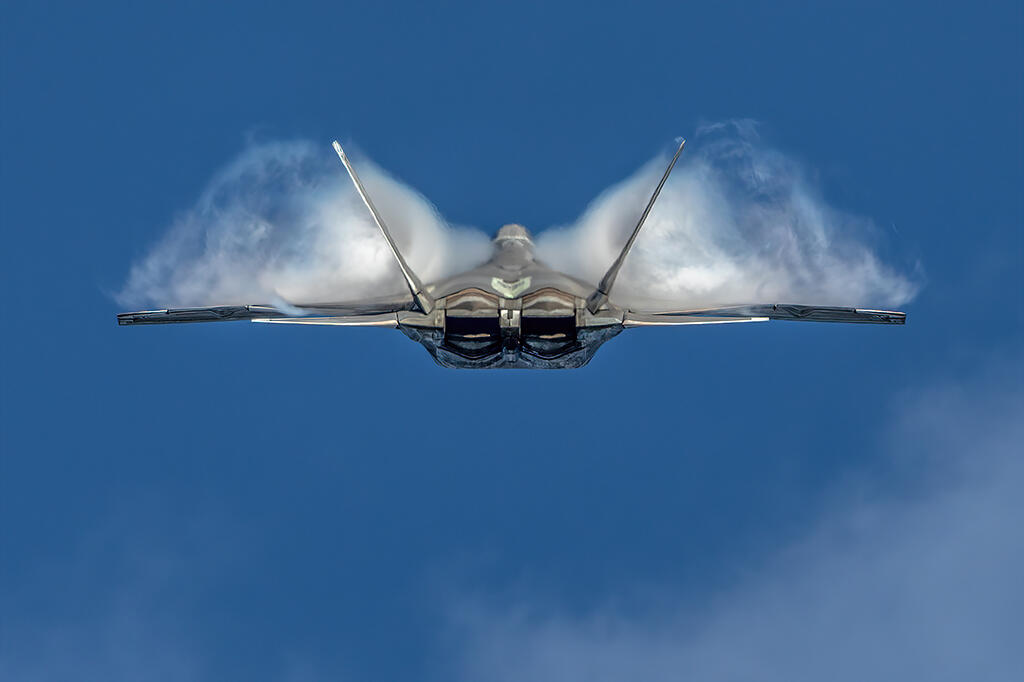 Air Combat Command F-22 Raptor