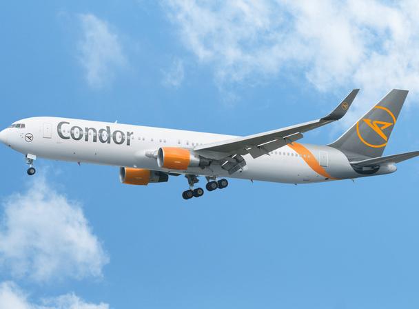 Condor