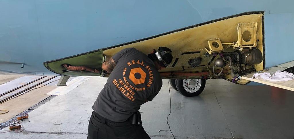 Seal Aviation maintenance technician