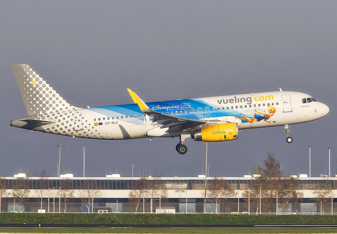 Vueling