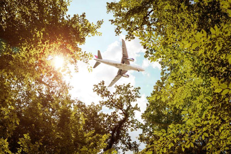 plane flying over trees