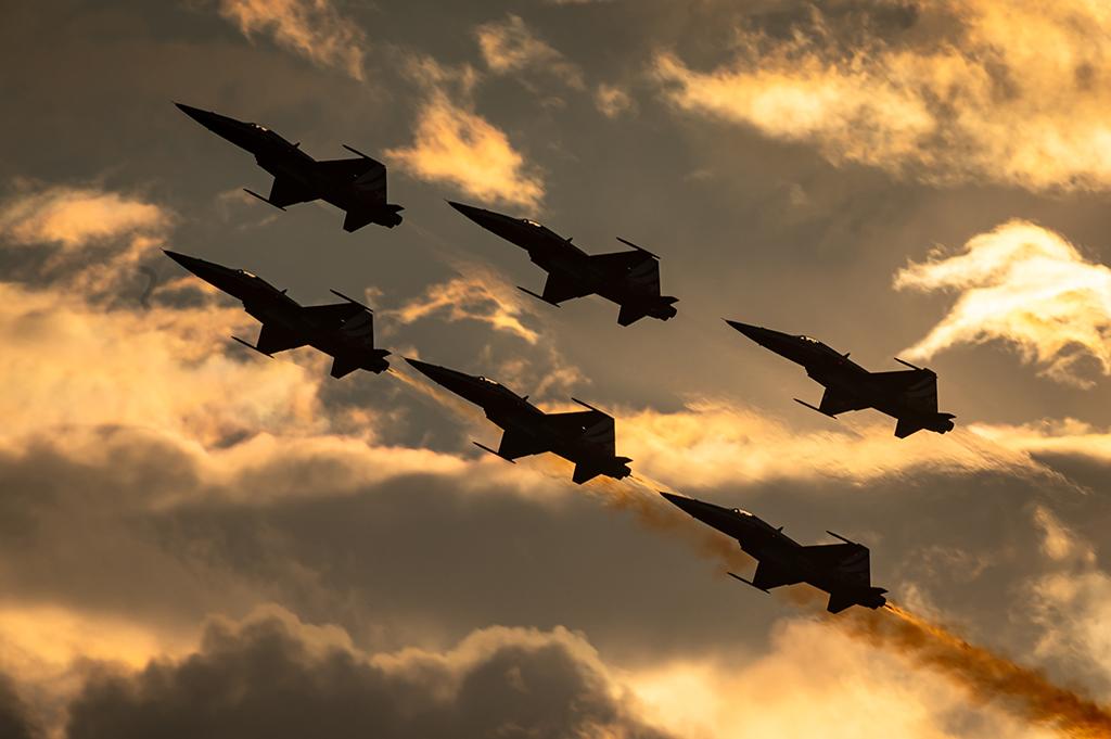 Northrop F-5 fighters from the Patrouille Suisse military aerobatic team