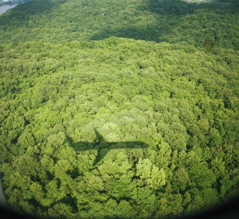 airplane over trees