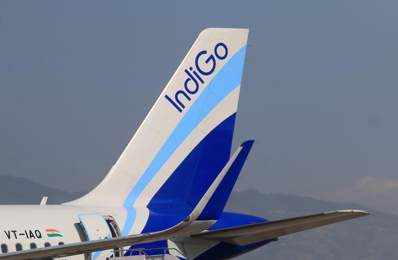 Indigo tail