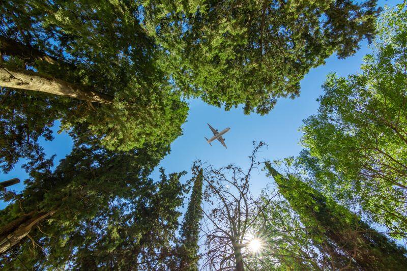 airplane over trees