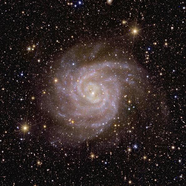 Spiral Galaxy IC 342