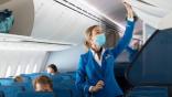 KLM Cabin Crew