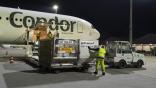 Condor