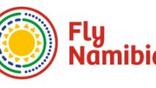 FlyNamibia logo