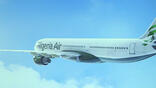 Nigeria Air Boeing 737-800 concept