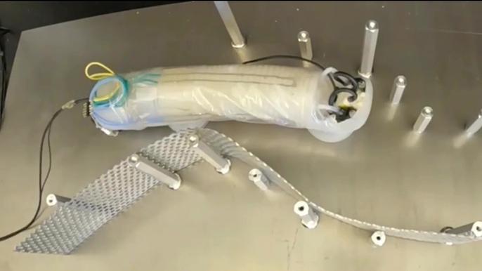 GE's Sensiworm robot