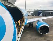 Boeing aircraft cargo area