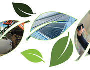 sustainability leaves